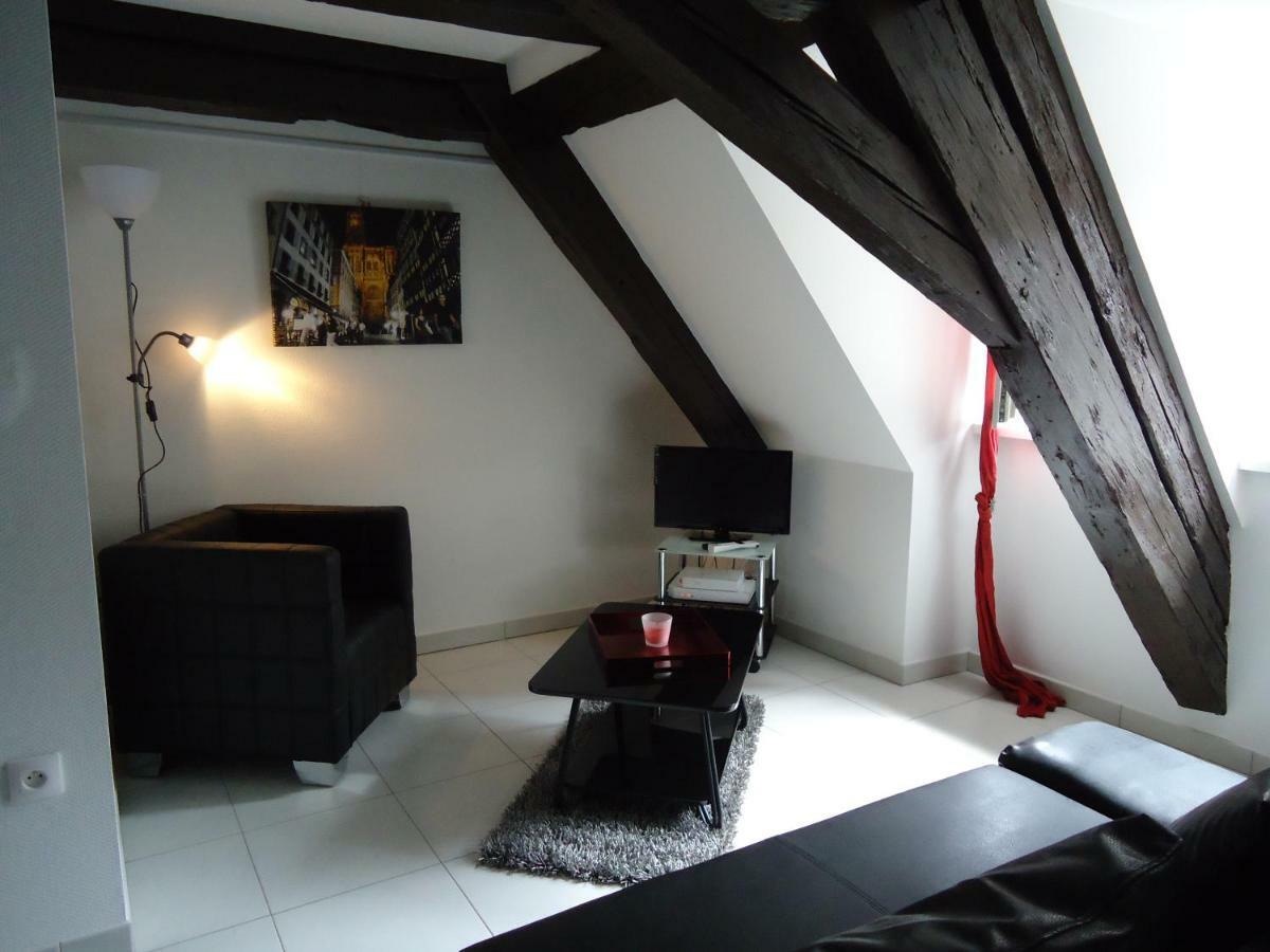 Le Nid De La Cathedrale Apartment Strasbourg Exterior foto